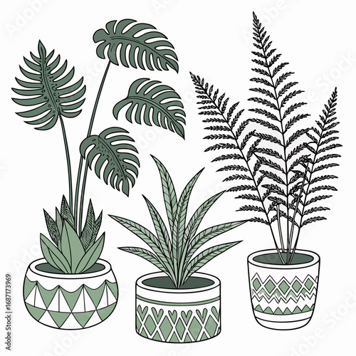 Collection of stylized potted houseplants including monstera and fern with decorative geometric patterned pots