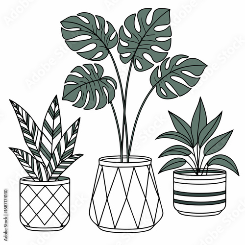 Collection of three stylized potted houseplants with monstera leaves and geometric patterned planters