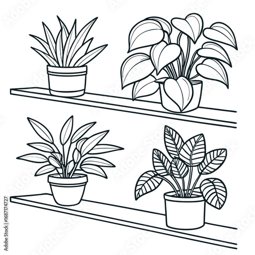 Four different potted houseplants arranged on two shelves in a simple line drawing style