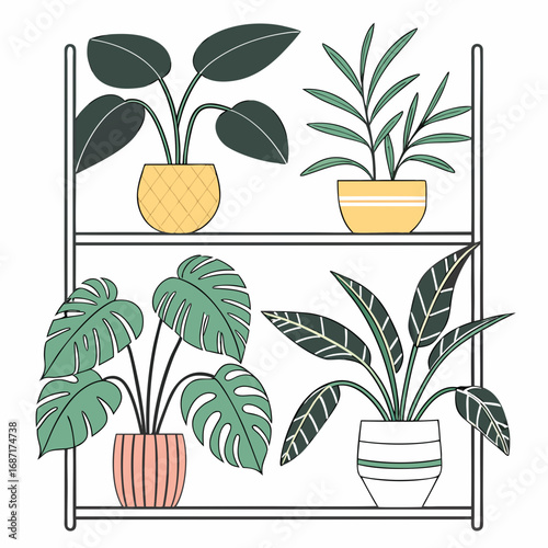 Four potted houseplants in different pots arranged on a two tiered shelf