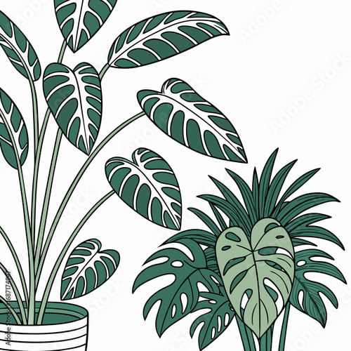 Stylized illustration of lush green houseplants with distinctive leaf patterns in a minimalist design