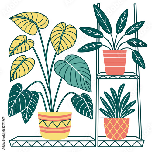 Stylized illustration of potted houseplants with large leaves in decorative planters on shelves