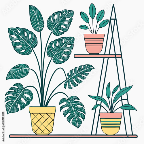 Stylized illustration of various houseplants in decorative pots on a modern shelving unit
