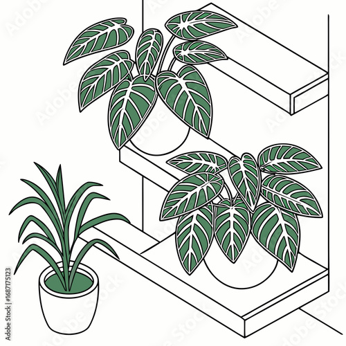 Stylized isometric illustration of lush green houseplants in pots on minimalist shelves