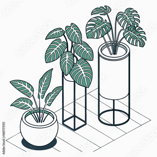 Stylized isometric illustration of three potted houseplants with distinctive leaf patterns on a wooden floor