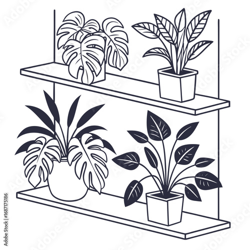 Stylized line art illustration of four potted houseplants arranged on two shelves in a modern minimalist style