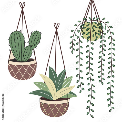 Three hanging potted plants including a cactus and trailing vines in decorative baskets