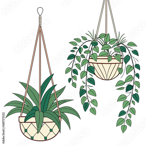 Two decorative hanging potted plants with lush green foliage and beige planters against a white background