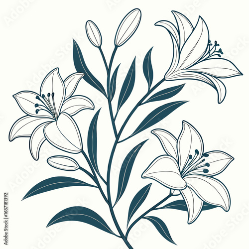 Elegant lily flower branch line art illustration