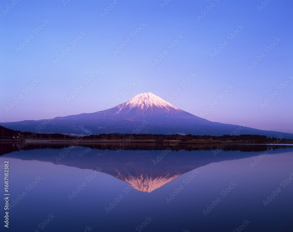 Fototapeta premium 雪化粧の逆さ富士