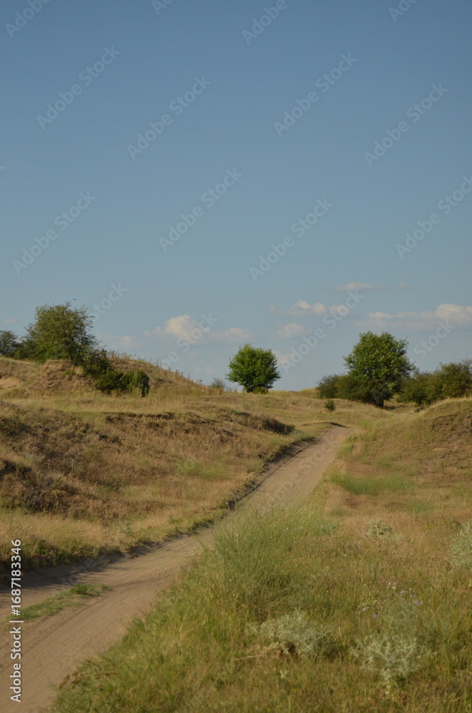 Obraz premium road in the field