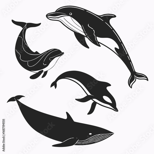A collection of stylized black silhouette illustrations of various marine mammals including a large blue whale a dolphin a killer whale and a smaller dolphin swimming gracefully in a white background