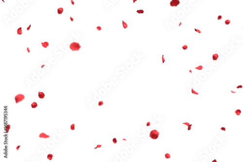 Tableau sur toile Fluttering Red Rose Petals frame
