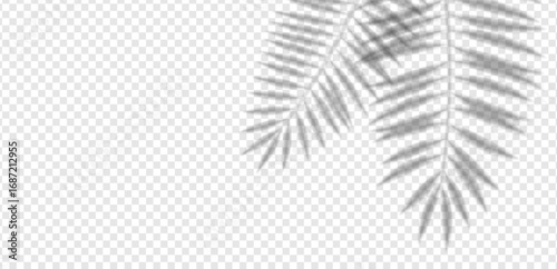 Tropical palm shadow with sunlight blur on wall. Decorative foliage overlay vector for summer template, exotic presentation, spring nature background or creative mockup.