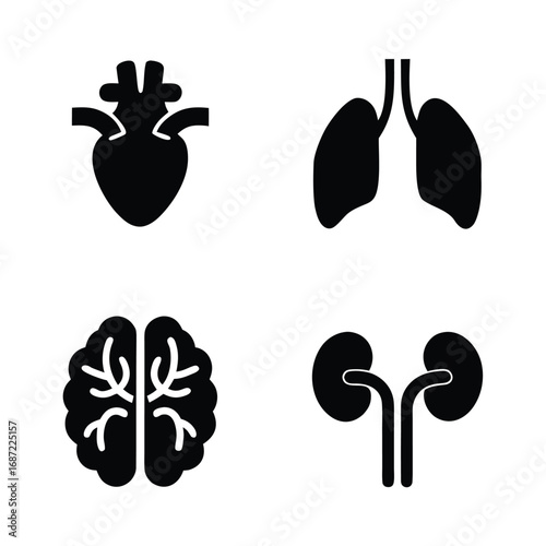 Four black human organ icons heart lungs brain kidneys on white background vector