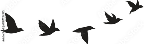 Silhouettes of birds flying in formation against a white background, symbolizing freedom and journey.