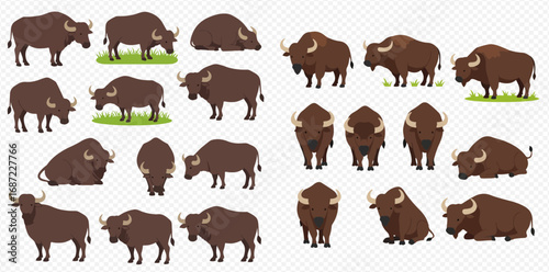 Cartoon bison and buffalo illustrations in various poses, including standing, grazing, and lying down, with different viewing angles.