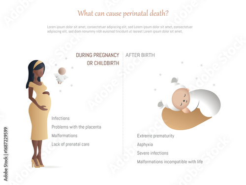 Perinatal death causes during pregnancy or after birth infographic