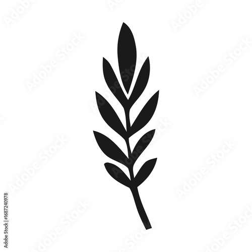  Leaf on White Background