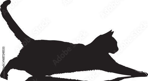 Silhouette of a stretching cat with arched back and raised tail

