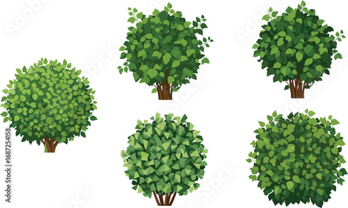 Green bush illustrations, lush shrub vector art, garden foliage design, nature plant elements, detailed leaf clipart, outdoor greenery, landscaping symbols