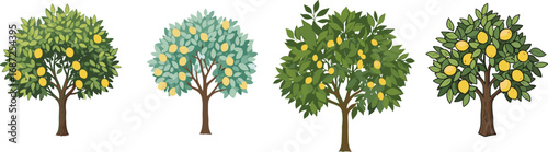 Lemon tree illustration set, botanical vector, yellow fruit trees, green foliage, garden design, seasonal nature elements, citrus plant graphics, minimal orchard theme