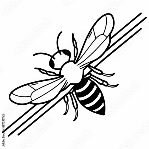 A detailed black and white line drawing of a bee clinging to two parallel lines at an angle upward
