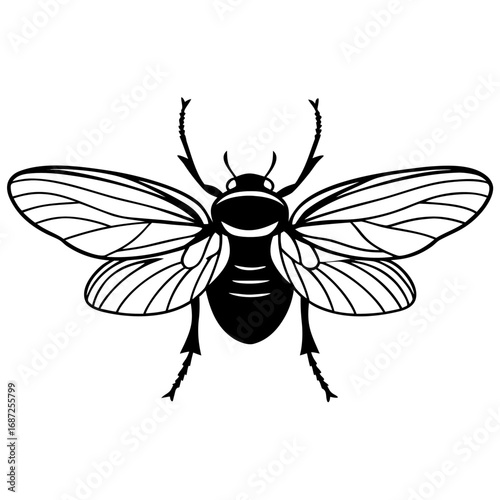 Detailed black and white outline of a flying beetle with prominent wings and segmented legs illustration