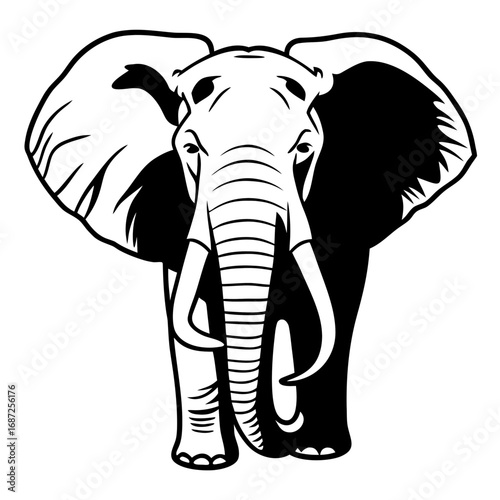 Illustration of an african elephant with large ears and tusks in black and white vector format