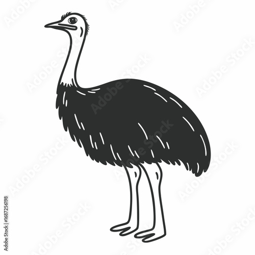Illustration of a standing emu with a long neck and dark feathers in black and white outline style