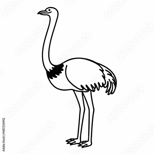 A simple line drawing of a standing ostrich with a long neck and small head on a white background view