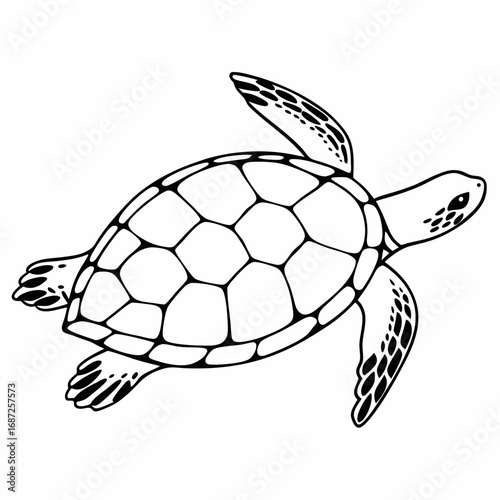 A detailed line drawing of a sea turtle with patterned flippers and a segmented shell swimming upwards