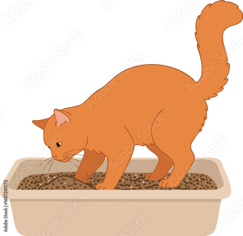 Orange cat using litter box indoor pet hygiene habit isolated vector illustration