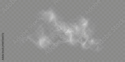 	
Realistic white smoke or mist effect with soft, swirling patterns on a transparent background. Perfect for overlays and atmospheric designs.