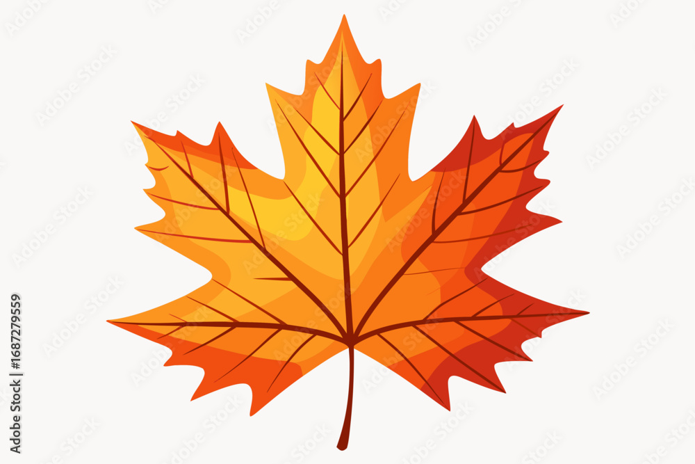 Fototapeta premium autumn maple leaf