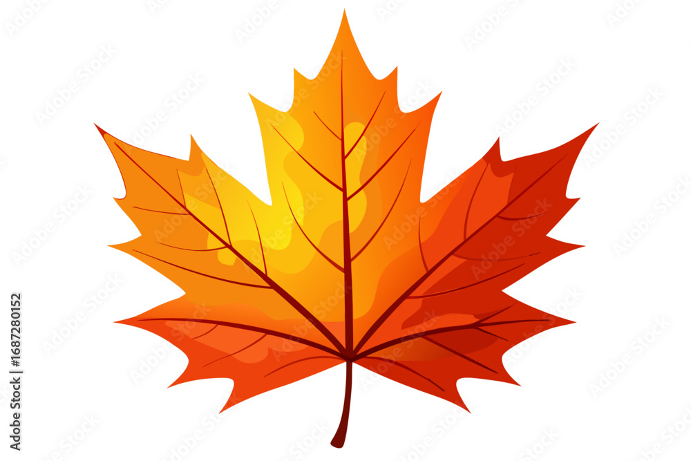 Fototapeta premium autumn maple leaves