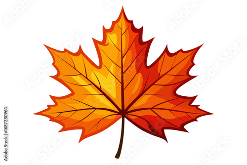 autumn maple leaf
