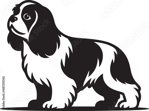 Charming Cavalier King Charles Spaniel