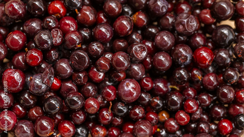 Fresh wild gooseberry berries close-up, top view