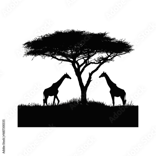 Giraffe Tree Silhouette