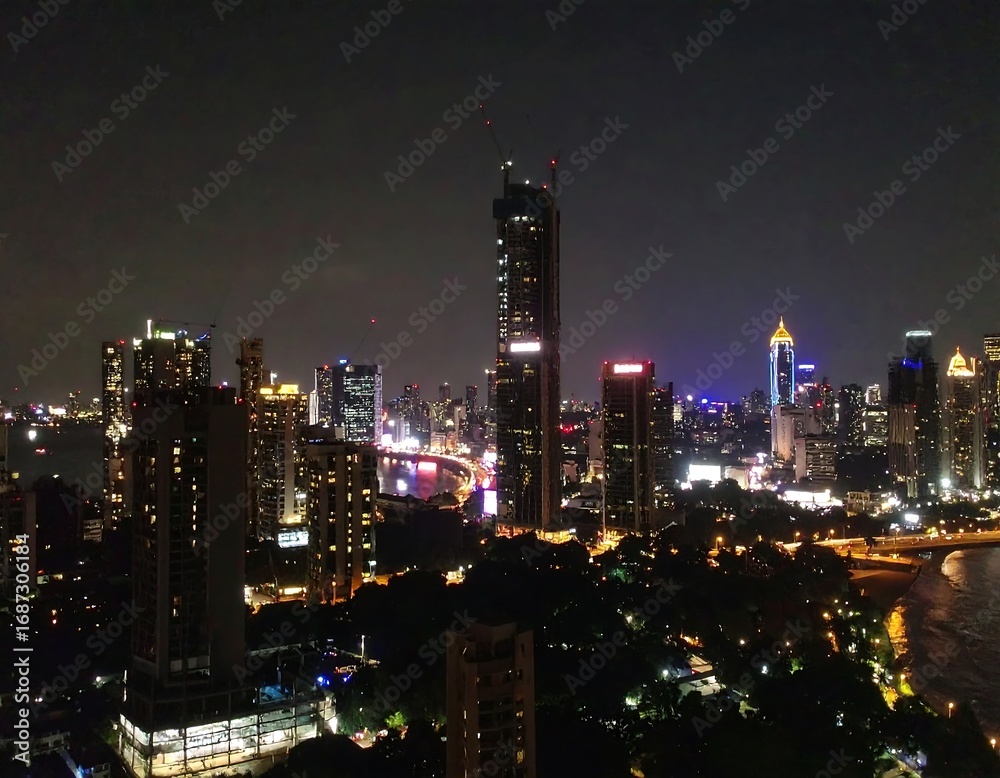 Fototapeta premium City skyline at night