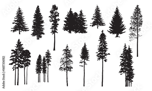 Collection of black silhouette pine trees and coniferous forest elements for nature design white background