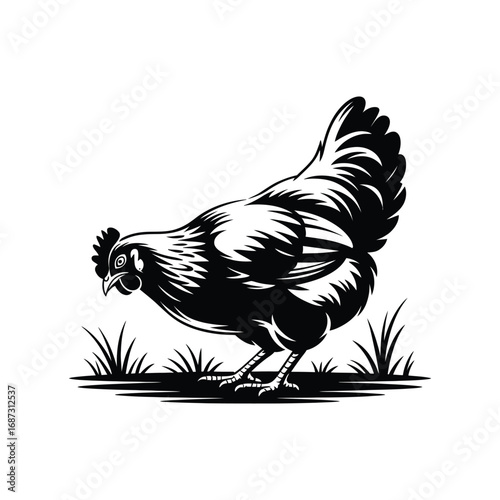 Detailed Chicken Silhouette Illustration on Grass Patch Farm Animal Vector Graphic Design
