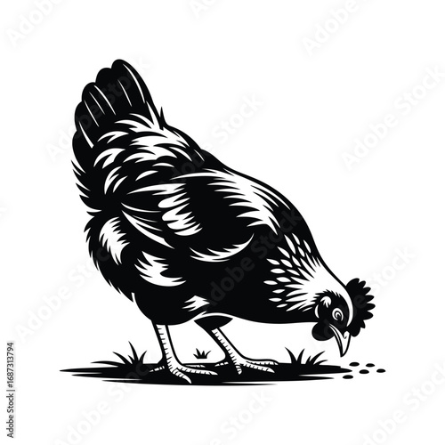 Pecking Chicken Silhouette Illustration Farm Bird Vector Graphic Design For Print
