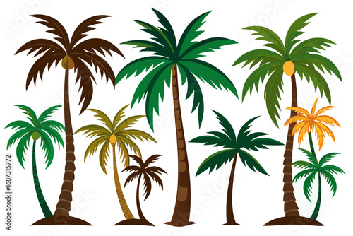 palm trees vector illustration