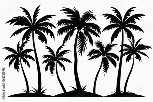 palm tree silhouettes