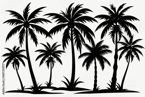 palm tree silhouette