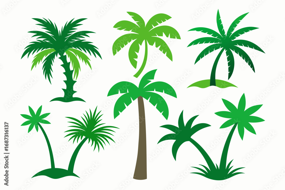 Naklejka premium tropical palm tree