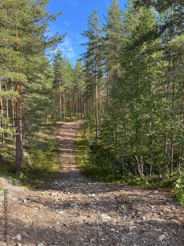 path in the woods in Finland