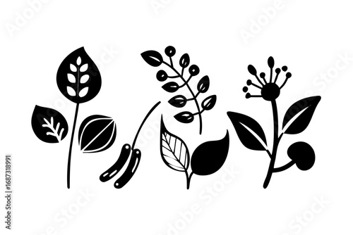 Botanical icons for nature and plant concept